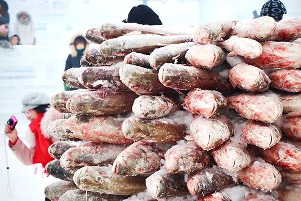 「吉农亮点」2966666元！2019年“查干湖冬捕”头鱼成交价创新高