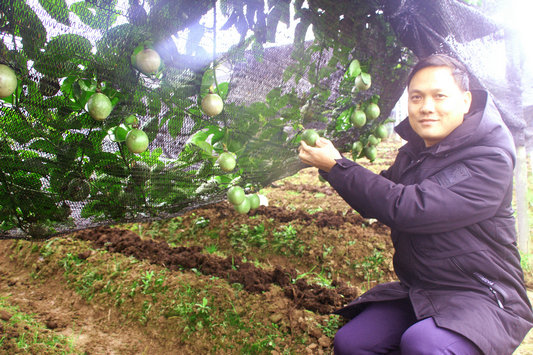 果树套种白芨,地头套种百香果