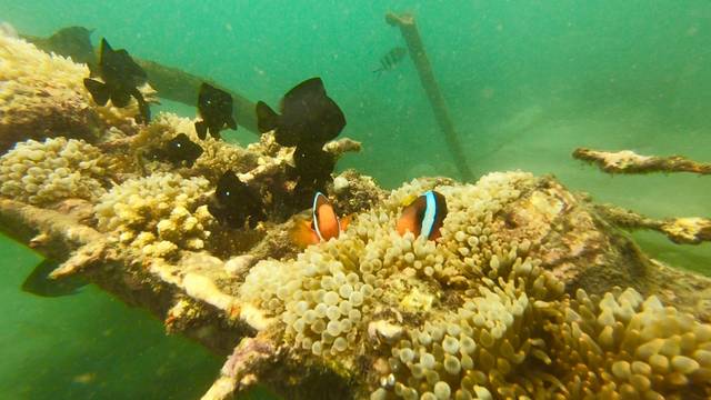 巴厘岛旅游自由行攻略最佳路线,巴厘岛旅行攻略自由行路线图大全