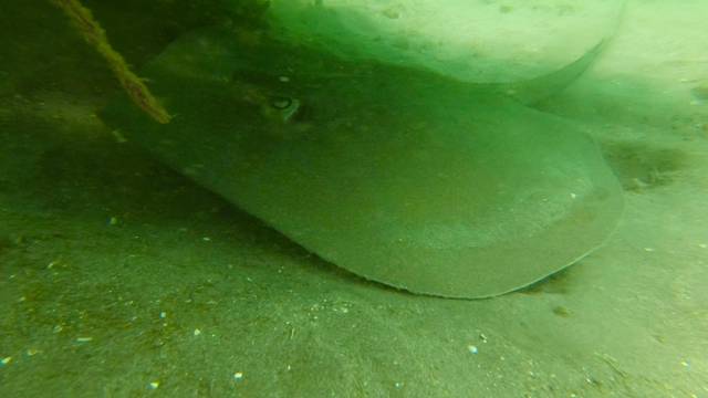 巴厘岛旅游自由行攻略最佳路线,巴厘岛旅行攻略自由行路线图大全