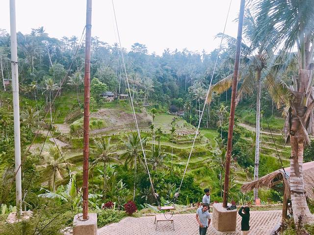 巴厘岛旅游自由行攻略最佳路线,巴厘岛旅行攻略自由行路线图大全