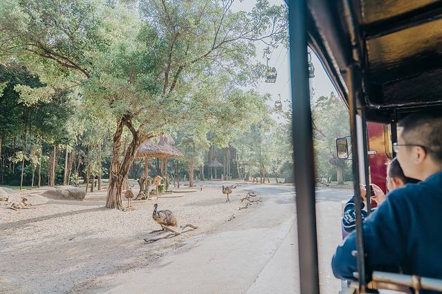 来长隆隆重过大年暖冬游长隆,暖冬游长隆福路通