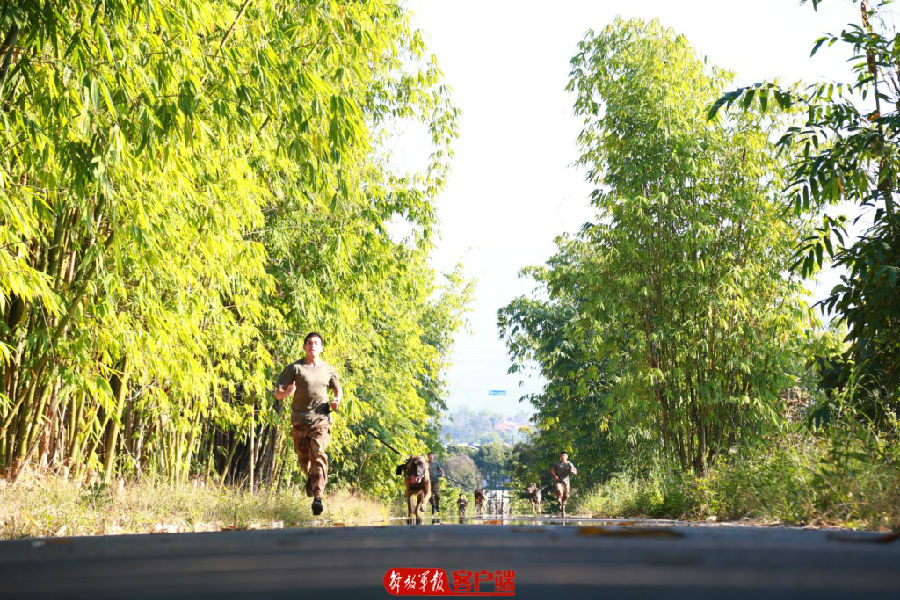 要懂饲养，还要会训练，无言尖兵的训导员来培训