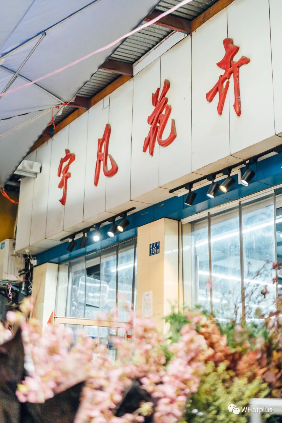 武汉最大鲜花市场,武汉最实惠的鲜花交易市场