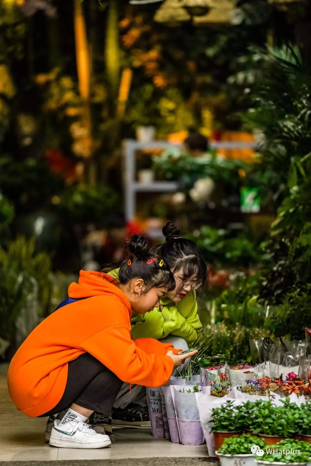 武汉最大鲜花市场,武汉最实惠的鲜花交易市场