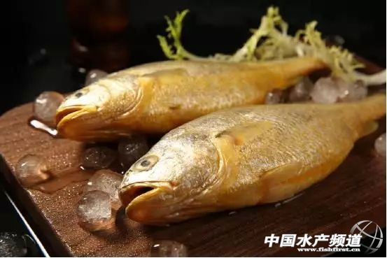 近几年大黄鱼价格,大黄鱼价格为何那么贵