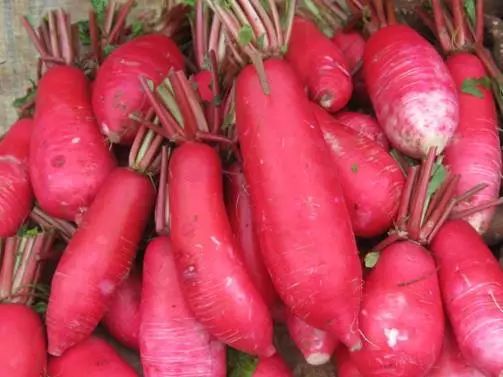 腊梅不是梅,腊梅不是梅花吗