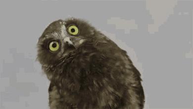 关于左眼跳财右眼跳灾的正确说法,左眼跳财右眼跳灾真的可以相信吗