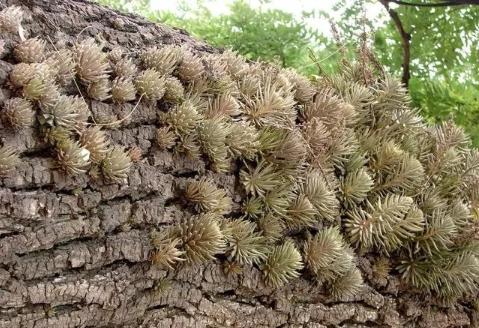 秦始皇驰道遗址,秦始皇井陉