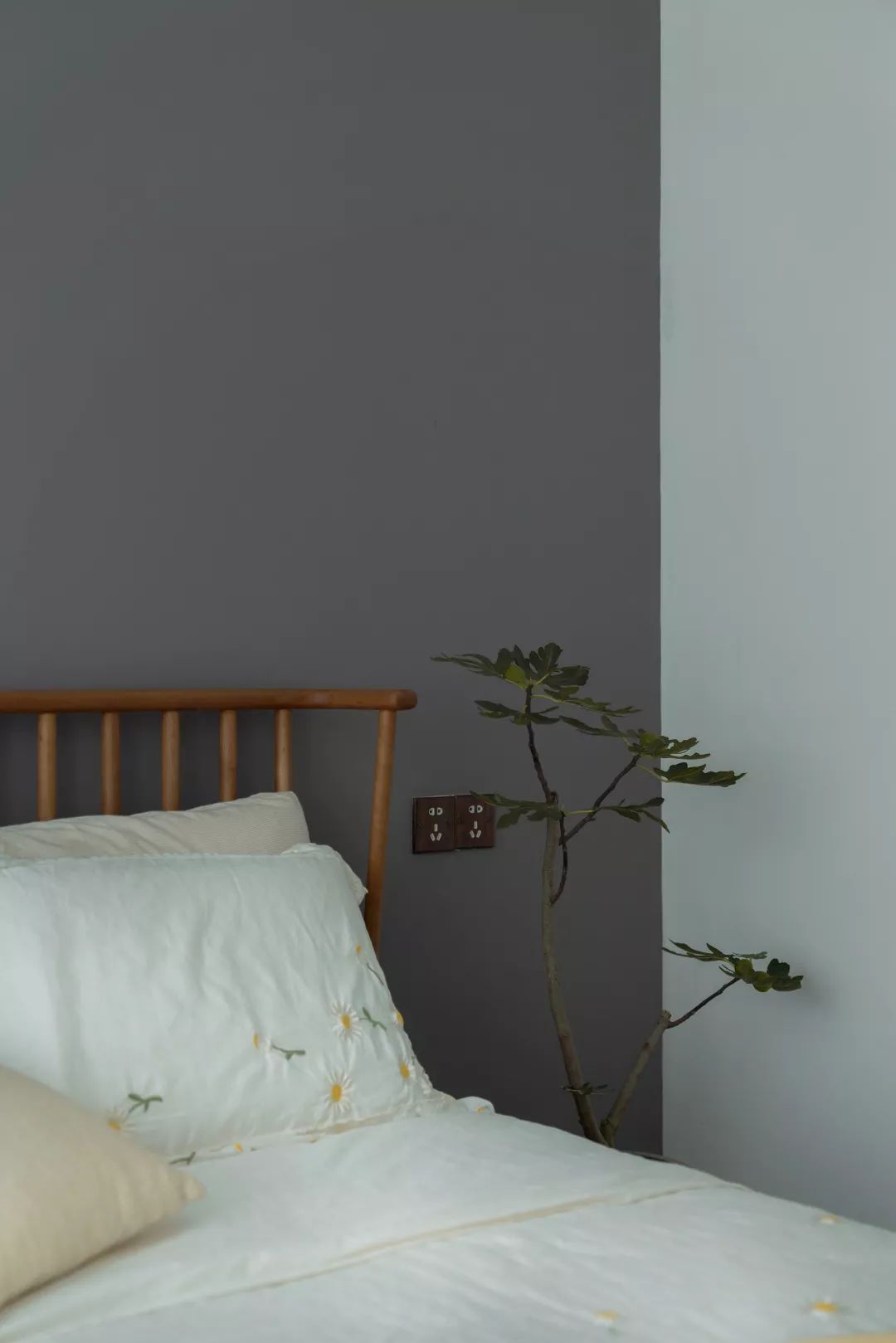 她家院子比房子还大，足足有80m²，在城里也能过得像李子柒