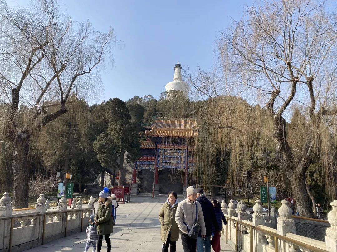 <html>
<head><title>502BadGateway</title></head>
<body>
<center><h1>502BadGateway</h1></center>
<hr><center>nginx</center>
</body>
</html>
<!--apaddingtodisableMSIEandChromefriendlyerrorpage-->
<!--apaddingtodisableMSIEandChromefriendlyerrorpage-->
<!--apaddingtodisableMSIEandChromefriendlyerrorpage-->
<!--apaddingtodisableMSIEandChromefriendlyerrorpage-->
<!--apaddingtodisableMSIEandChromefriendlyerrorpage-->
<!--apaddingtodisableMSIEandChromefriendlyerrorpage-->
