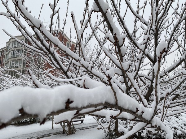 用了两年的苹果11promax续航,苹果11promax和12promax续航对比