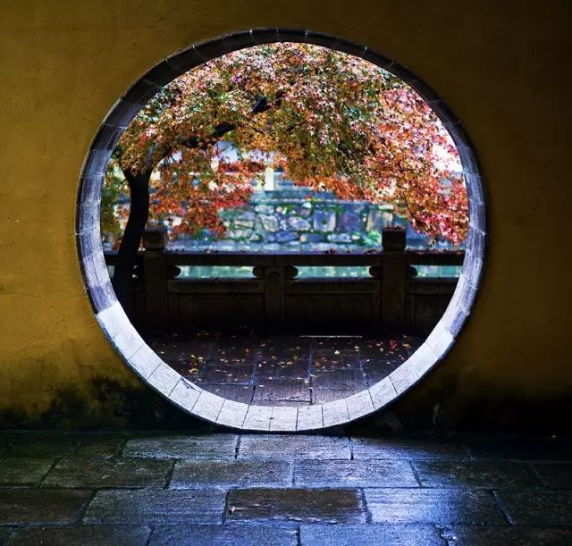 教科书式自我隔离,自我隔离要多少天