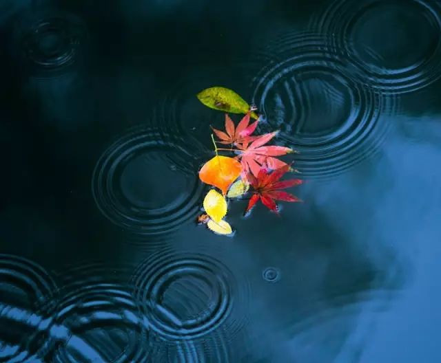 教科书式自我隔离,自我隔离要多少天