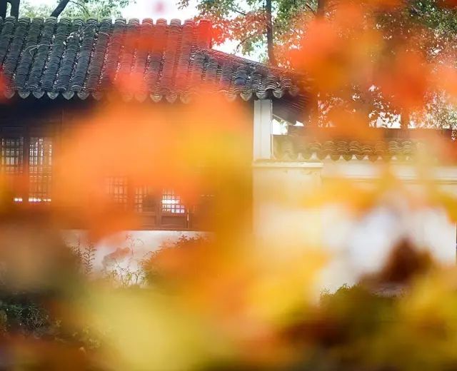 教科书式自我隔离,自我隔离要多少天