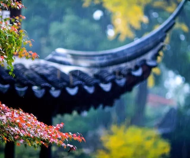 教科书式自我隔离,自我隔离要多少天