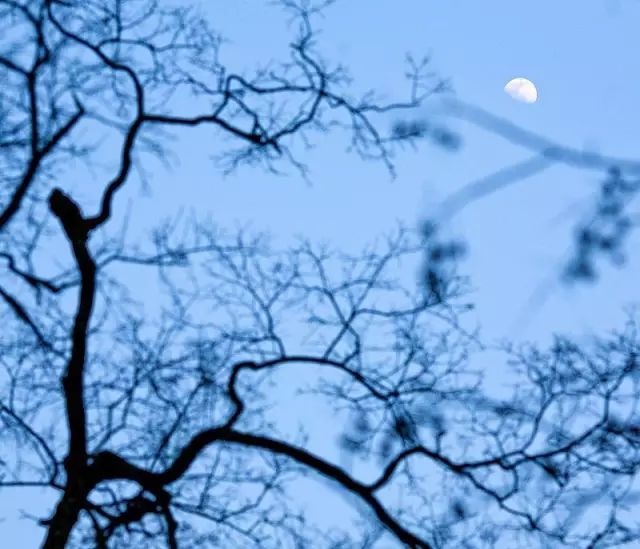 教科书式自我隔离,自我隔离要多少天