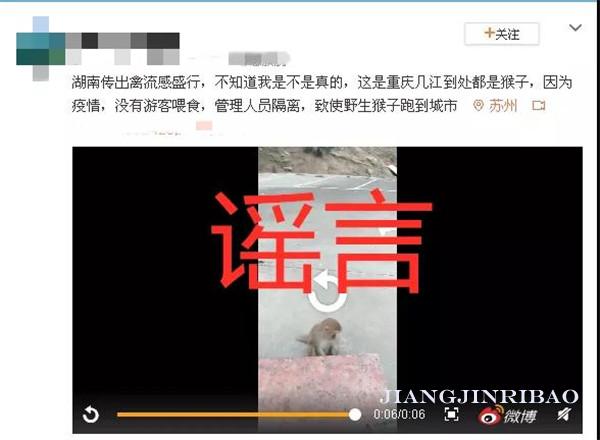 重庆江津最新消息,江津最新消息