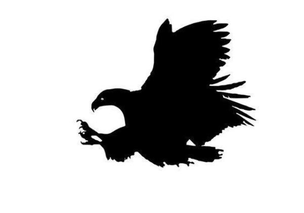 清华女博士爆看阴线买入,清华女博士说股票