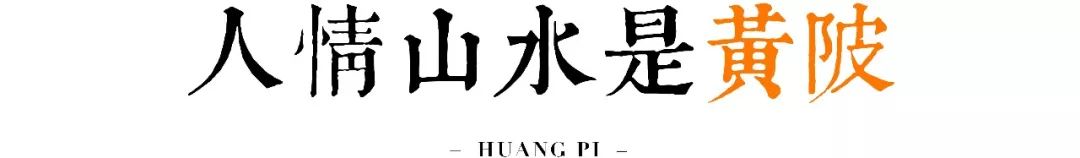 穿越武汉2019，重启2020