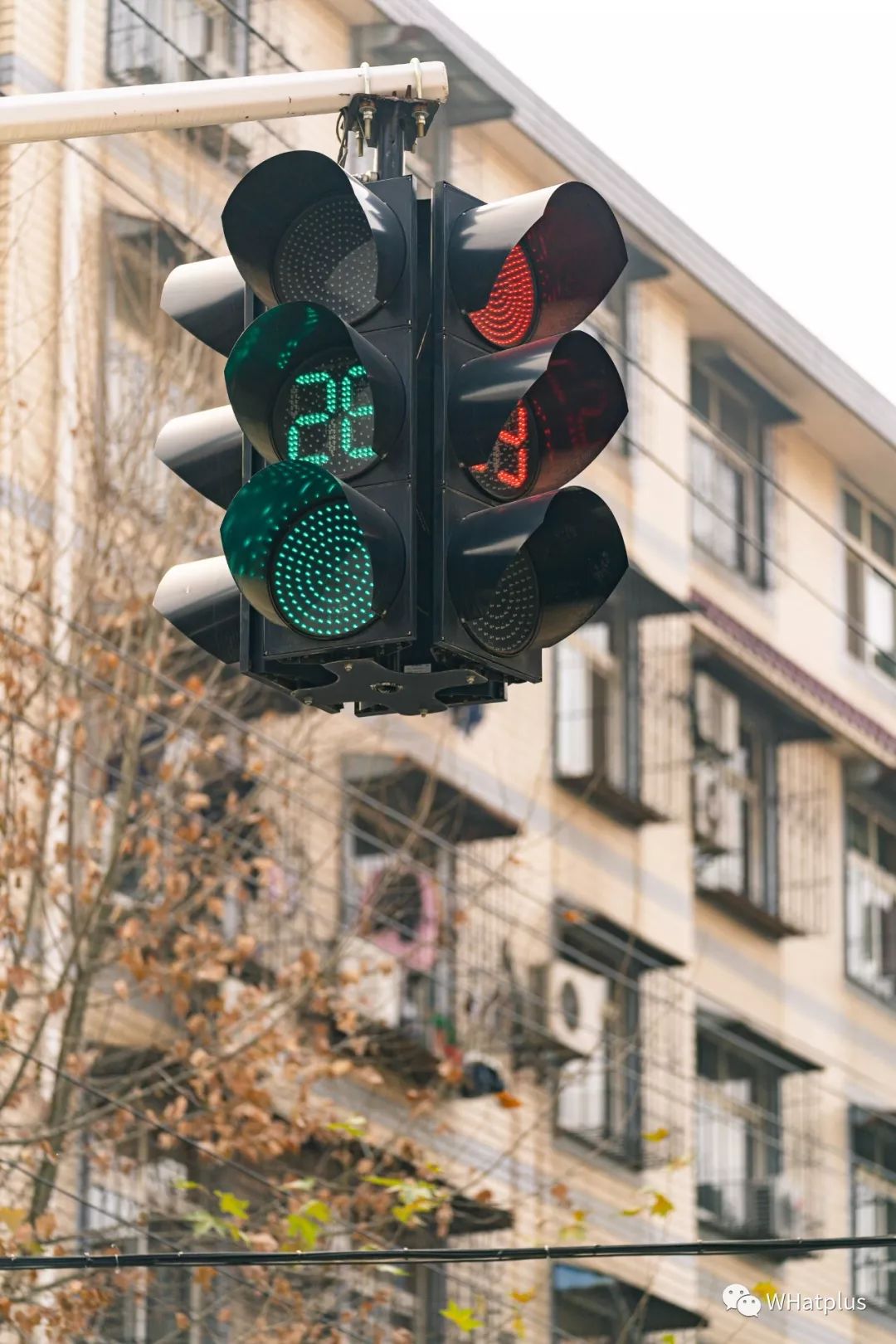 穿越武汉2019，重启2020