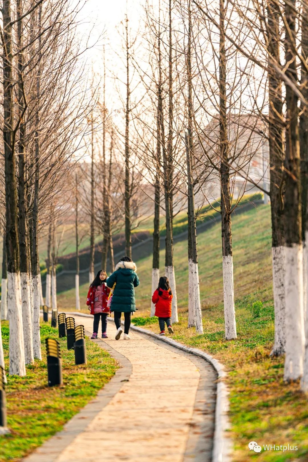 穿越武汉2019，重启2020