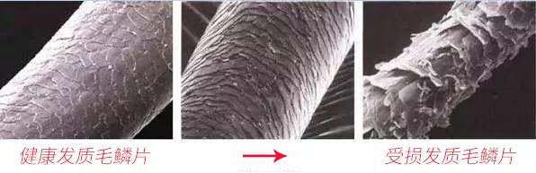 日本玻尿酸抗菌干发帽,干发帽吸水速干不伤头发好物推荐