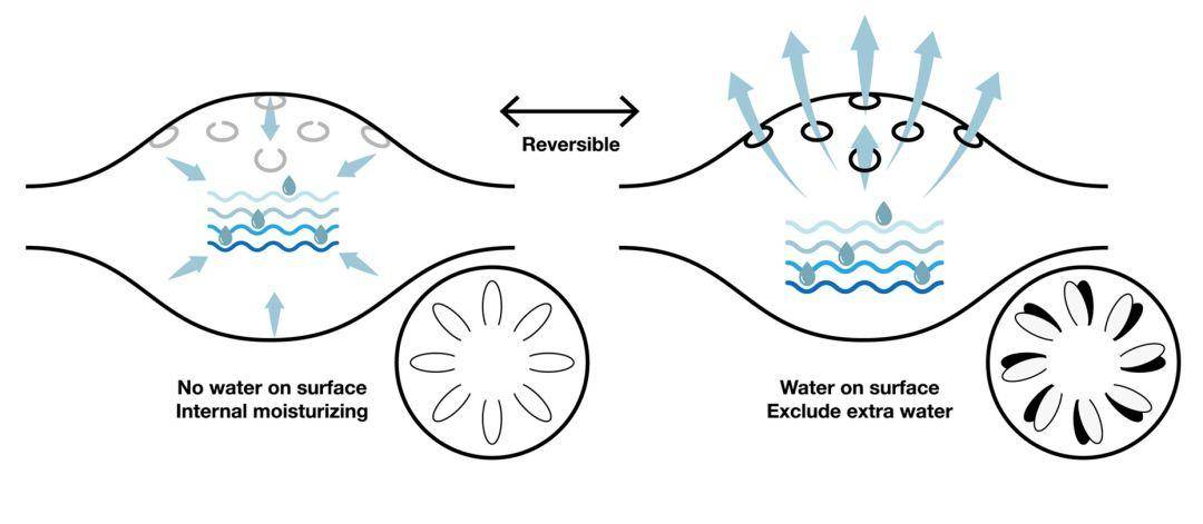 国际顶级奖项最佳设计奖,国际设计大奖作品欣赏