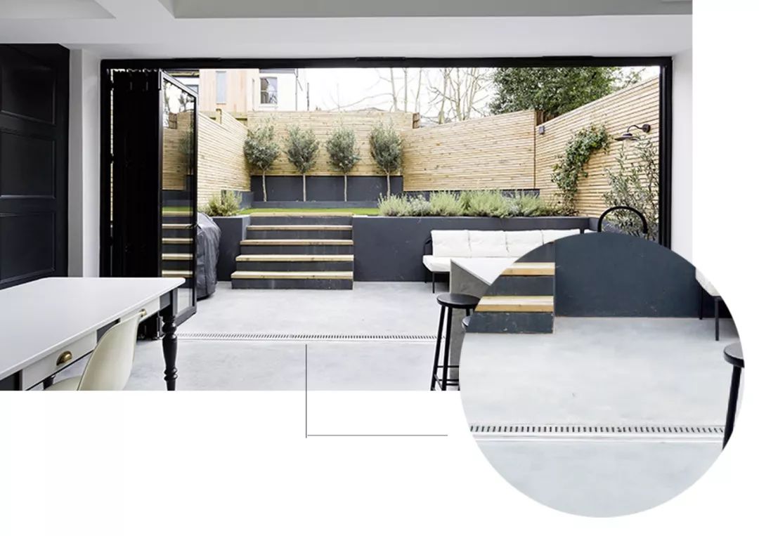 有什么好看的网红植物推荐,这三种网红植物家中必备你养了吗