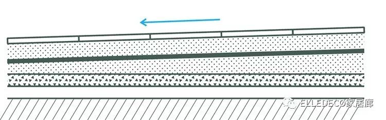 有什么好看的网红植物推荐,这三种网红植物家中必备你养了吗