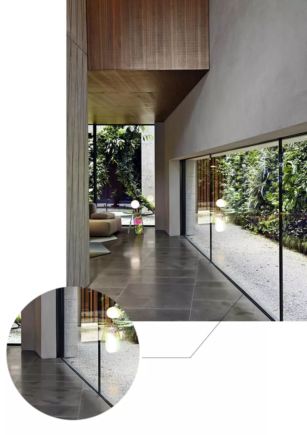 有什么好看的网红植物推荐,这三种网红植物家中必备你养了吗