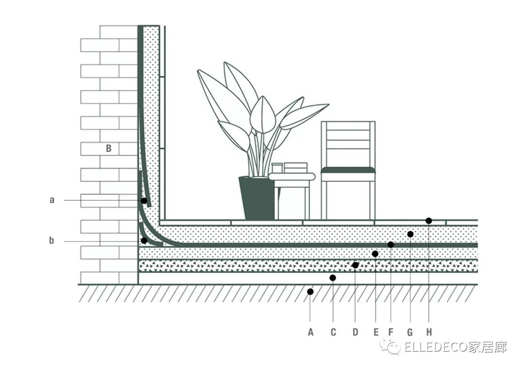 有什么好看的网红植物推荐,这三种网红植物家中必备你养了吗