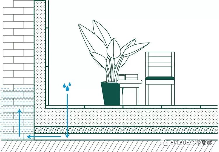 有什么好看的网红植物推荐,这三种网红植物家中必备你养了吗