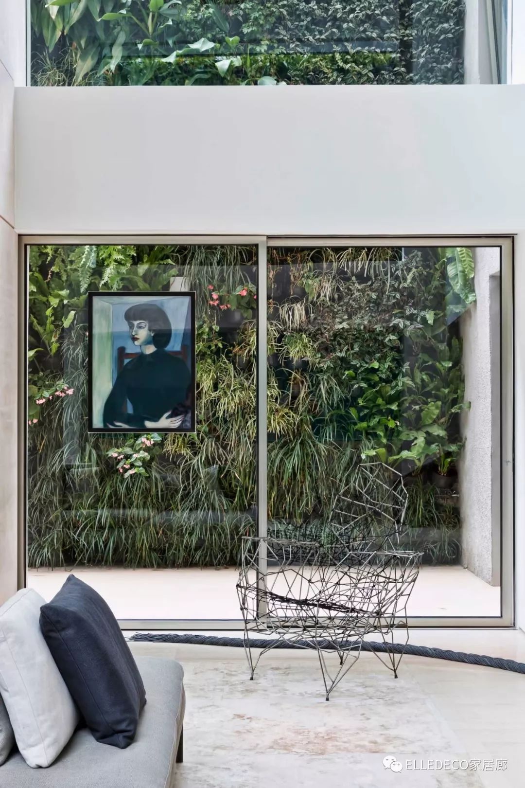 有什么好看的网红植物推荐,这三种网红植物家中必备你养了吗