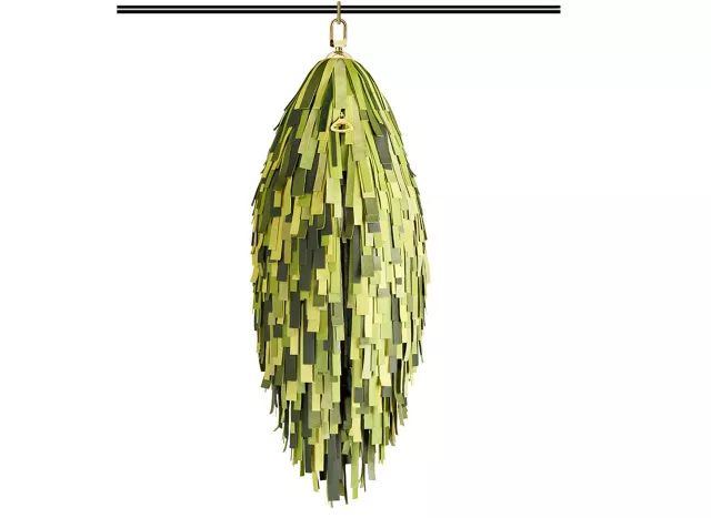 有什么好看的网红植物推荐,这三种网红植物家中必备你养了吗