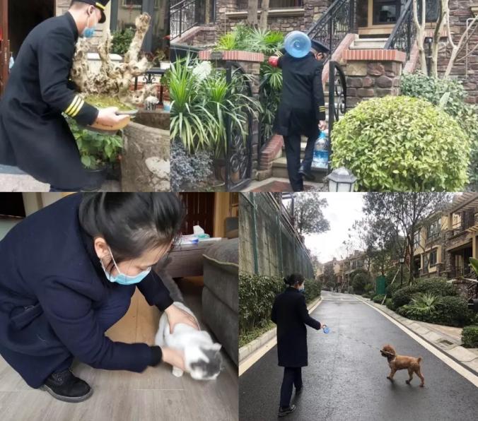 物业防疫硬核升级,社区物业管理哪家强