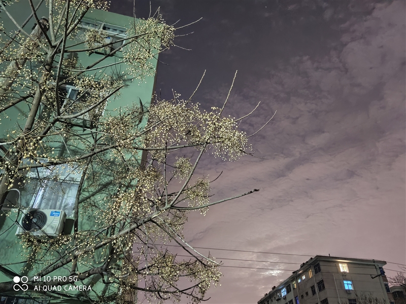 小米10pro测评优缺点,小米10pro和小米10至尊性能对比