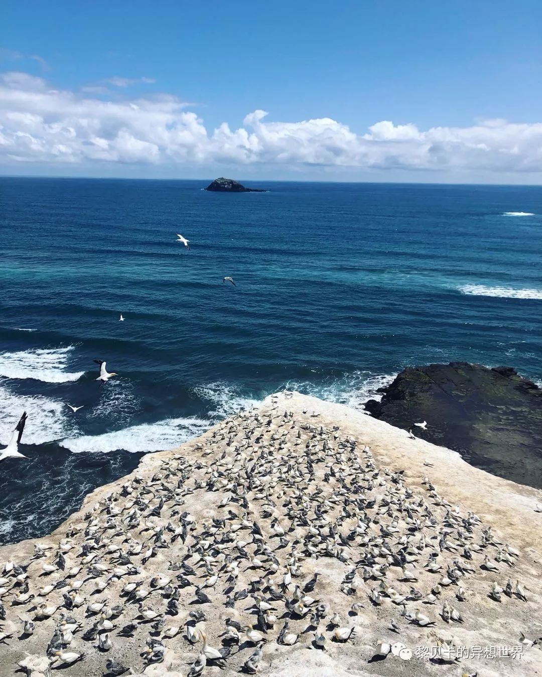 聊聊你的感悟,简单聊聊最近的一些事