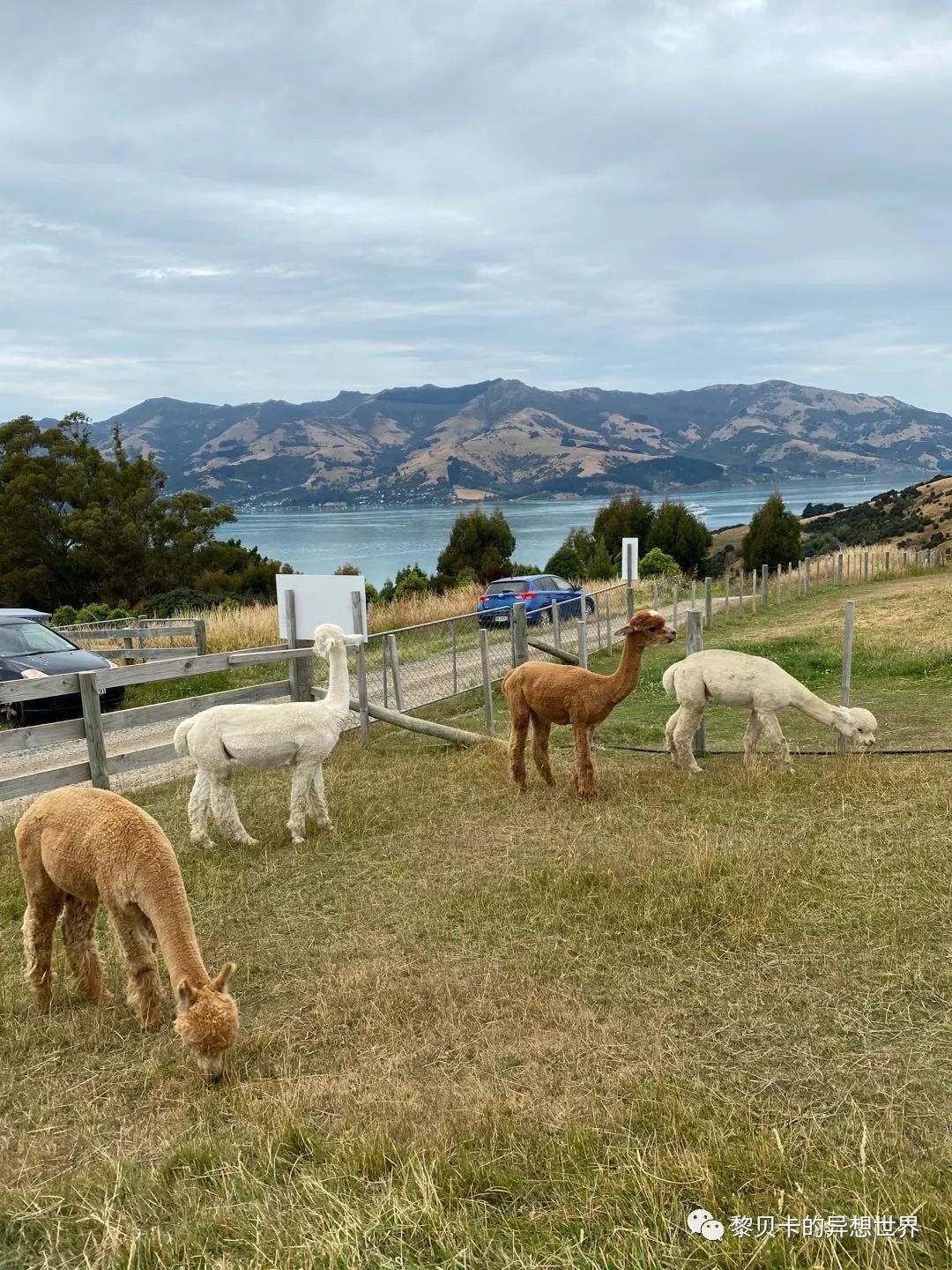 聊聊你的感悟,简单聊聊最近的一些事