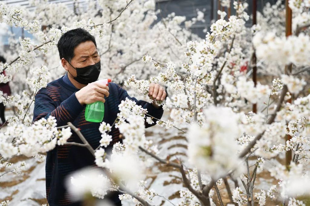 收到诈骗电话舍不得挂，看来他们也复工了，真好
