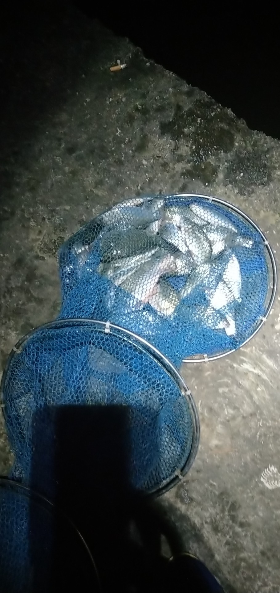 春天水库钓鱼有哪些技巧,春天钓鱼技巧教程视频播放