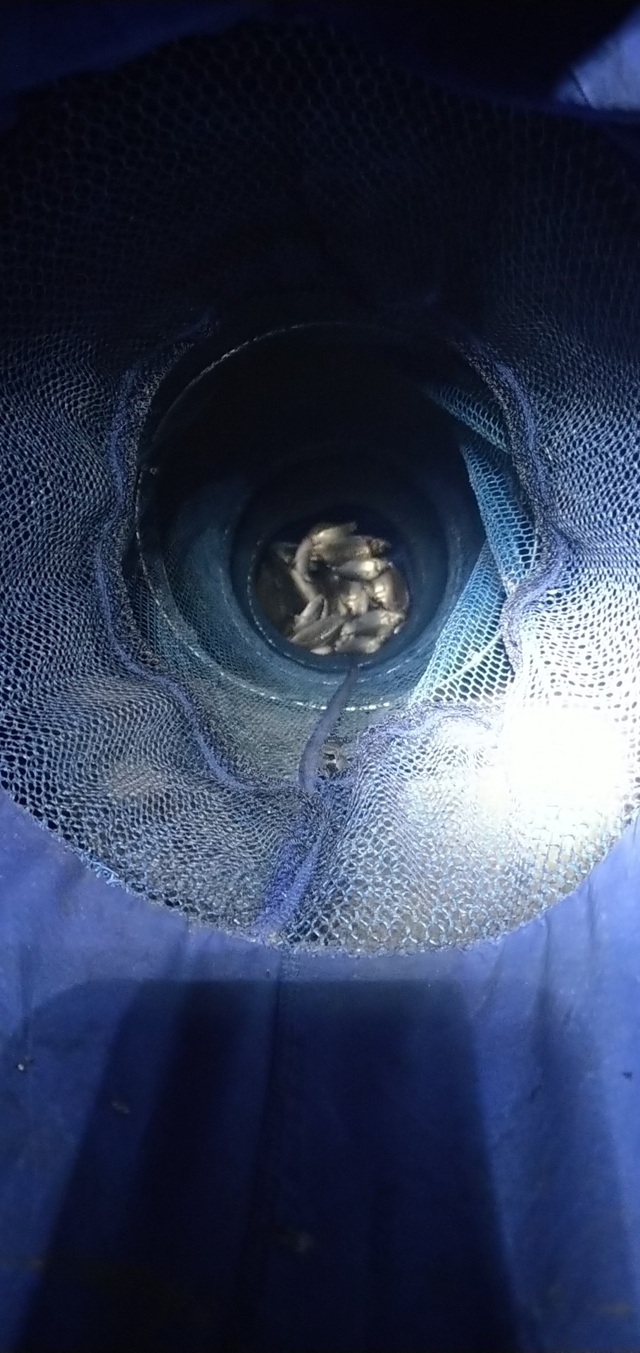 春天水库钓鱼有哪些技巧,春天钓鱼技巧教程视频播放