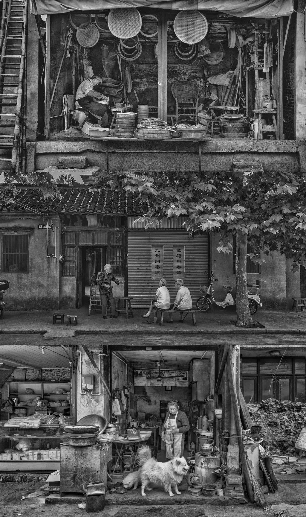 咸鸭蛋高邮为什么好,少盐咸鸭蛋高邮