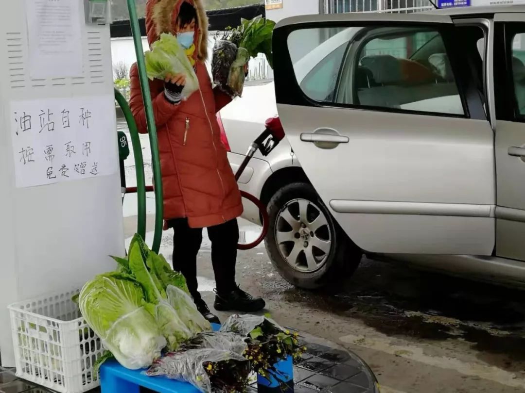 对中石化最深的美好印象,全网对中石化的评价