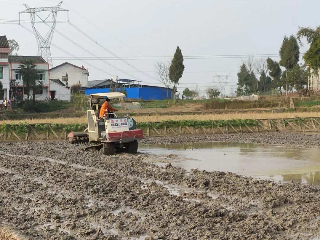 我是*党**员，我在！20.6万南充*党**员在不同的战场，相同的坚守！
