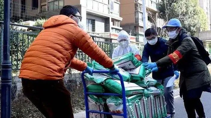 武汉自护志愿者招募,武汉志愿者助农