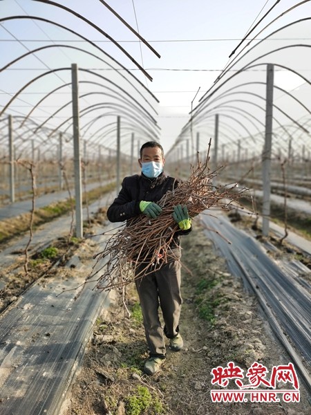河南息县抓春耕,河南息县春耕生产