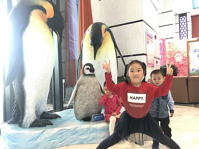 珠海长隆澳门2日游旅游团,澳门长隆住宿推荐