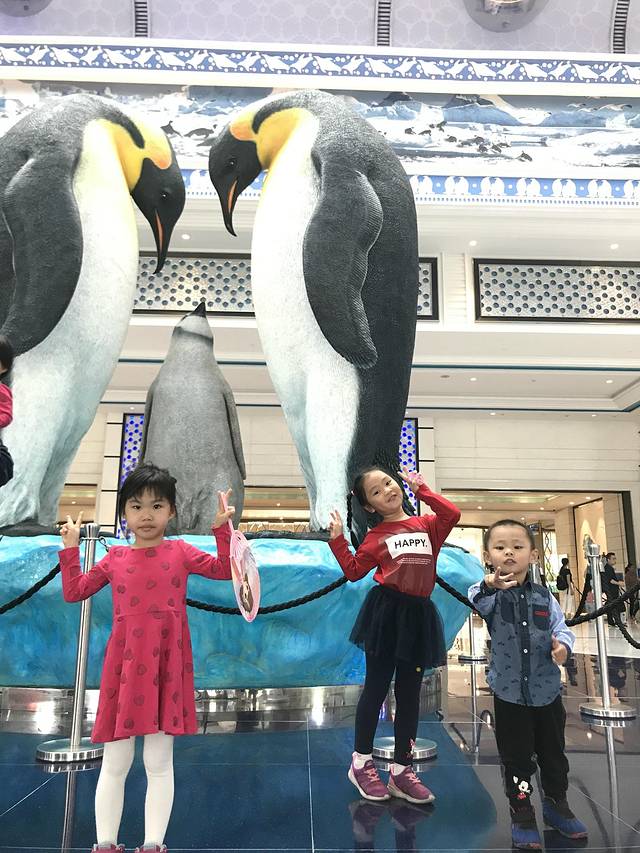 珠海长隆澳门2日游旅游团,澳门长隆住宿推荐