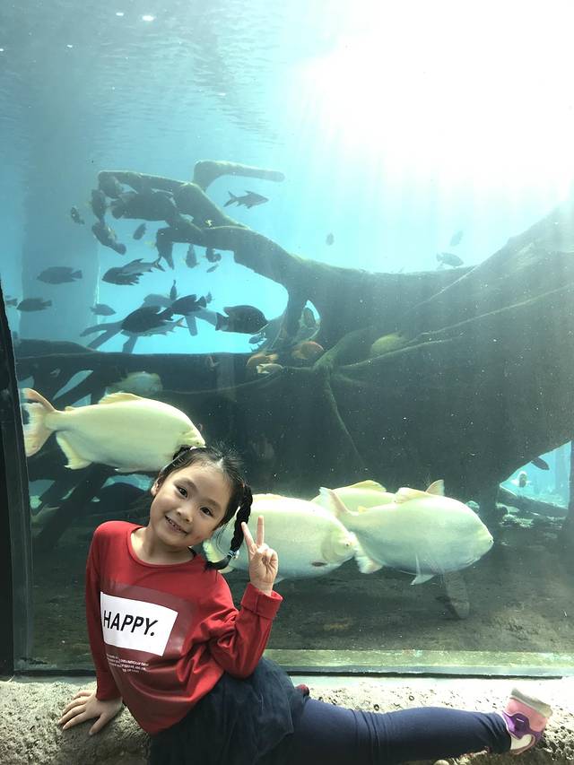 珠海长隆澳门2日游旅游团,澳门长隆住宿推荐